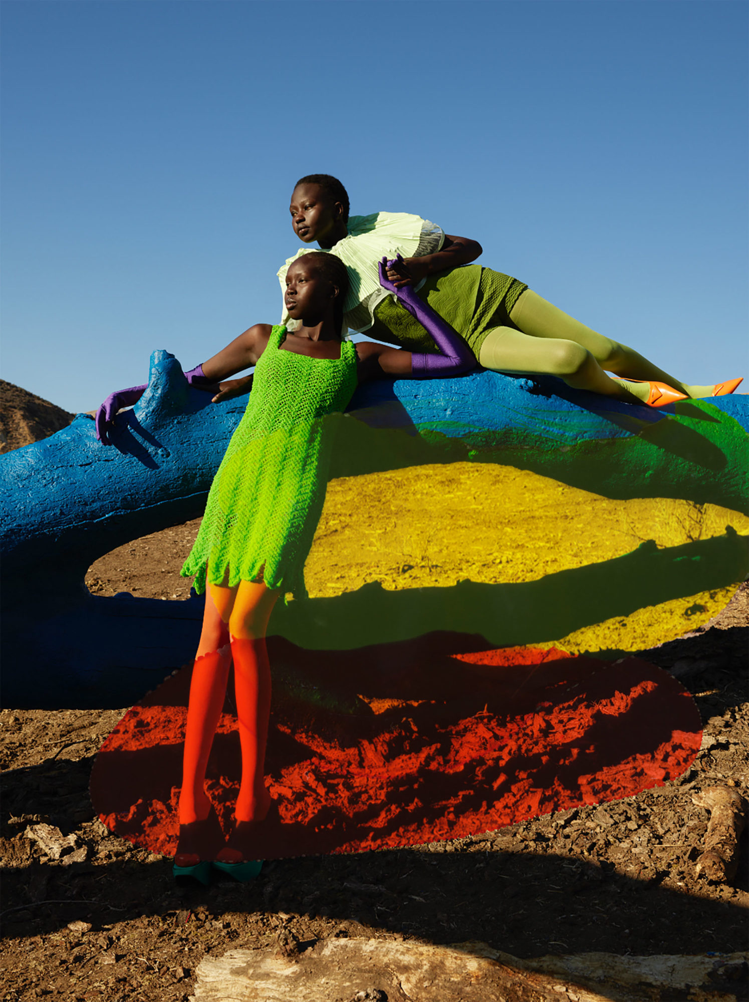 Artist Portfolio – Viviane Sassen - We Folk